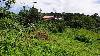 Resiential Lot for Sale in Brgy. Iruhin, Tagaytay